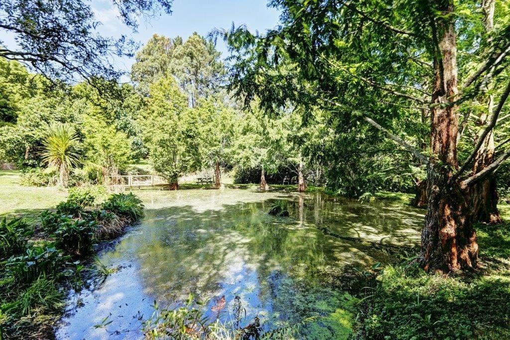 Peaceful Cottage In Beautiful Landscaped Native Bush Gully Tamahere المظهر الخارجي الصورة