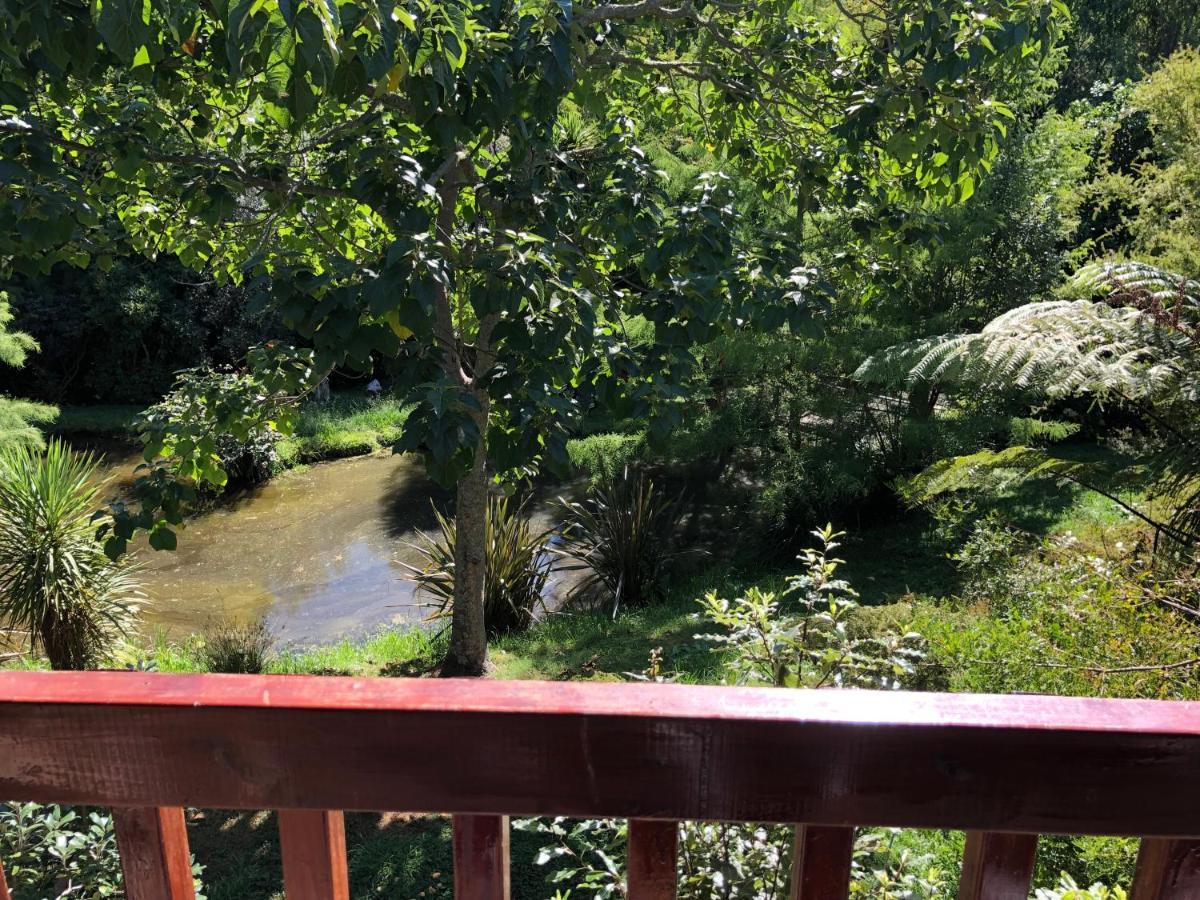 Peaceful Cottage In Beautiful Landscaped Native Bush Gully Tamahere المظهر الخارجي الصورة