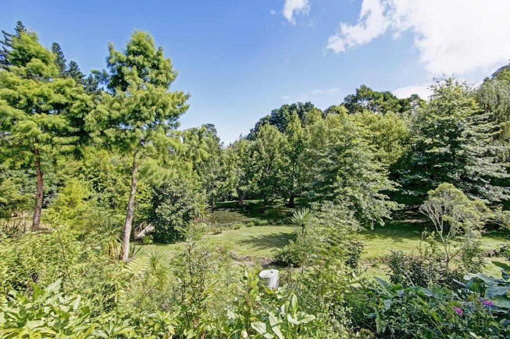 Peaceful Cottage In Beautiful Landscaped Native Bush Gully Tamahere المظهر الخارجي الصورة