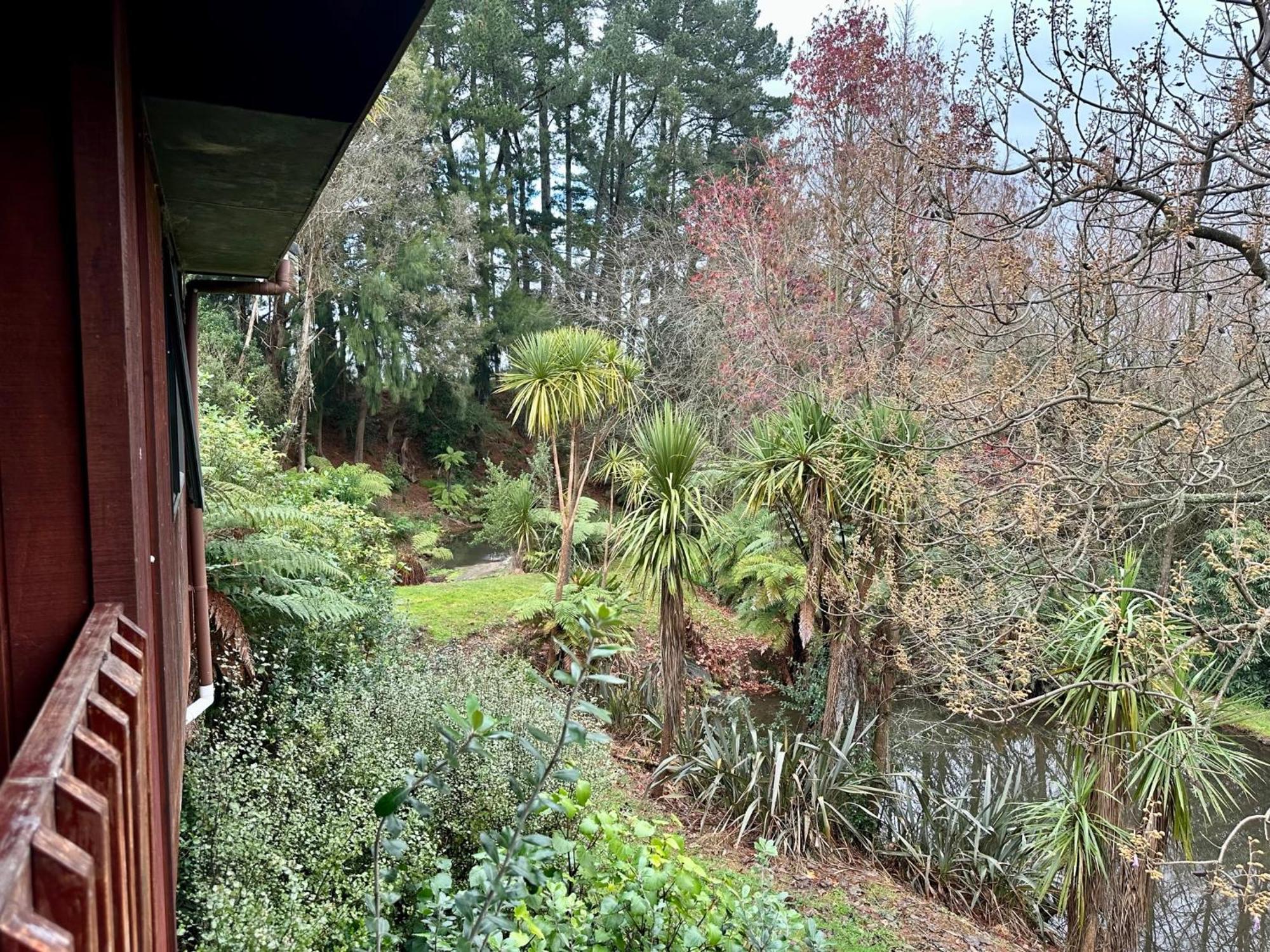 Peaceful Cottage In Beautiful Landscaped Native Bush Gully Tamahere المظهر الخارجي الصورة